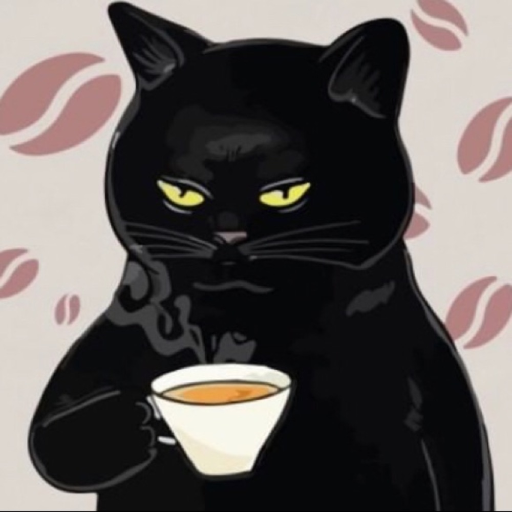 Meet your Posher, Zsanett